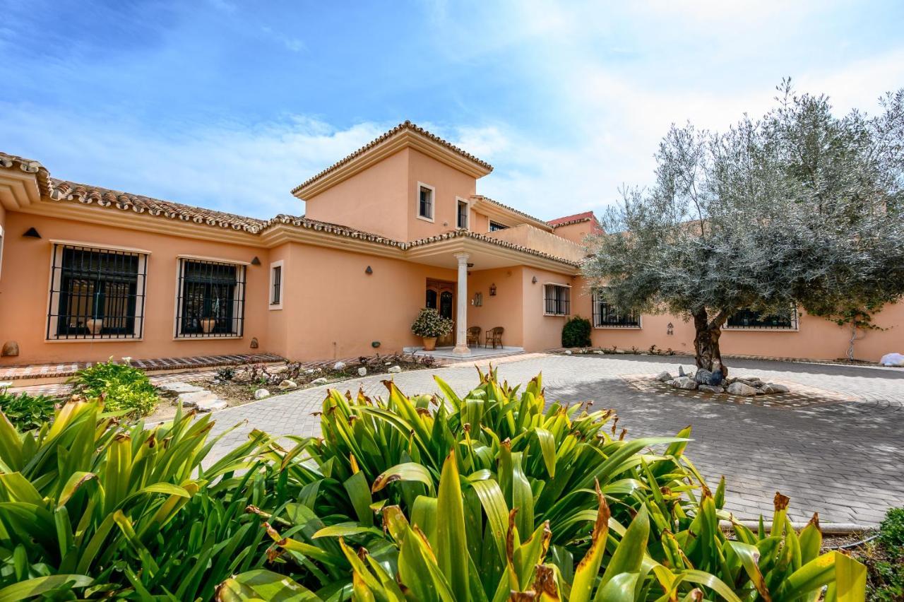 Villa Saguaro Malaga アラウリン・デ・ラ・トレ エクステリア 写真