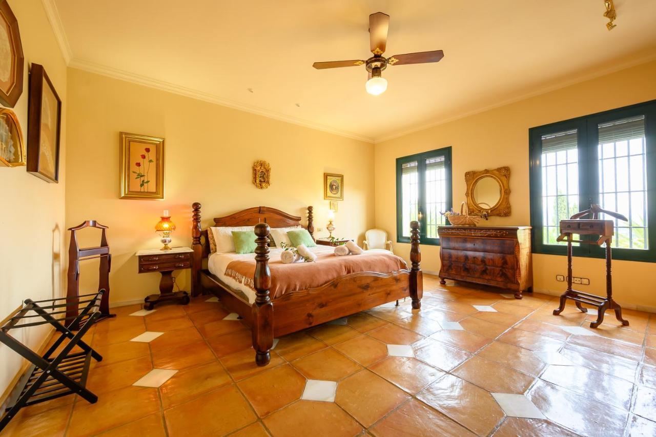 Villa Saguaro Malaga アラウリン・デ・ラ・トレ エクステリア 写真
