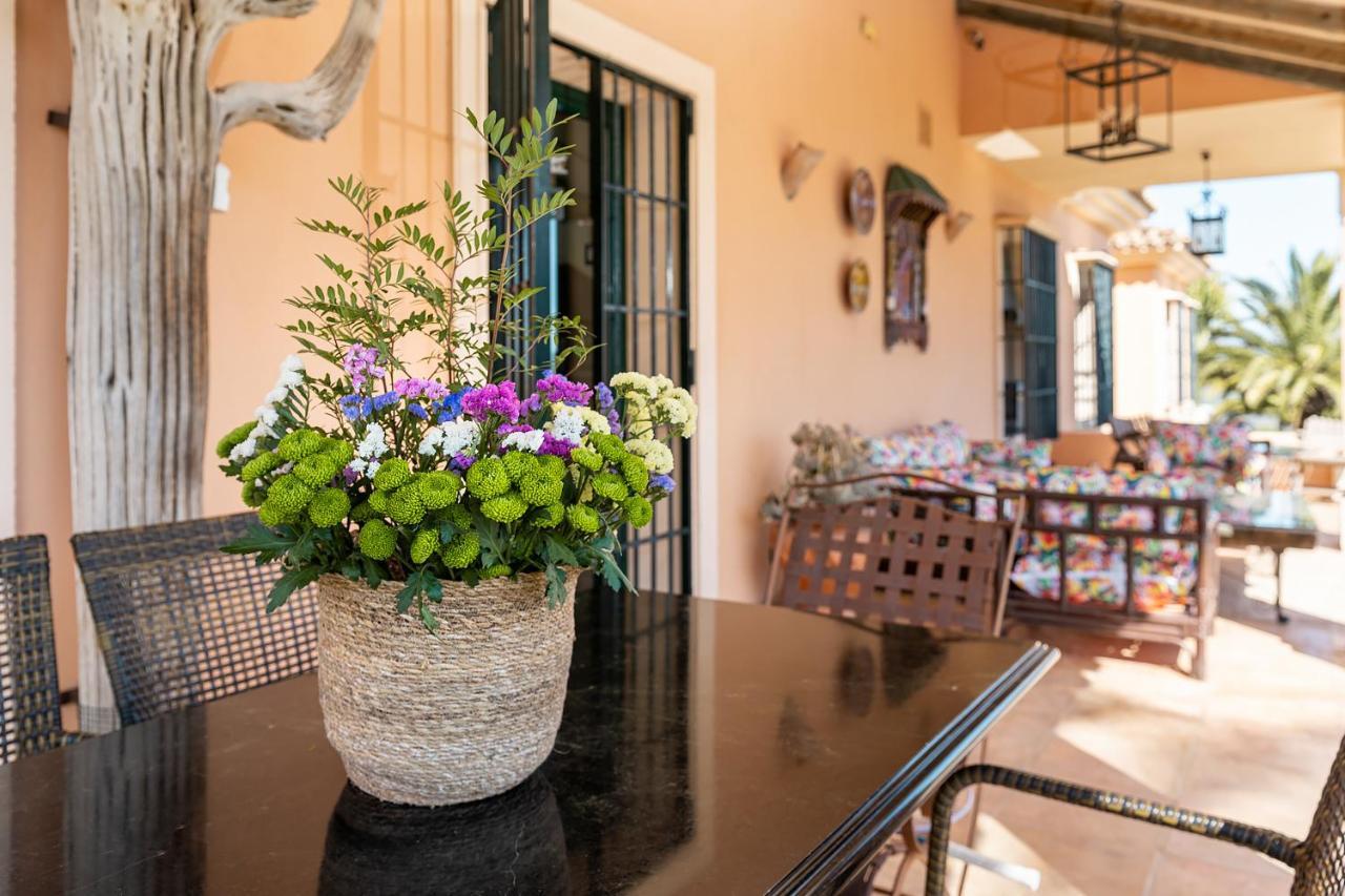Villa Saguaro Malaga アラウリン・デ・ラ・トレ エクステリア 写真